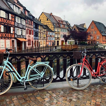 Gites Du Ladhof Colmar Luaran gambar